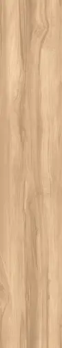 FOSSIL WOOD BRICH 20х120