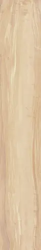 PEARSIAN WOOD IVORY 20х120