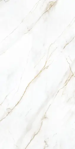 SELVA GOLD 60х120
