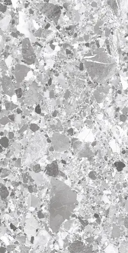 TERRAGONA SILVER SOLIDO 60х120