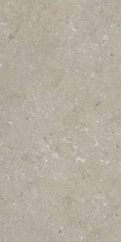 Керамогранит Shellstone Taupe 60x120 матовый