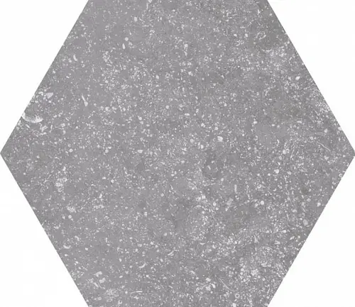 Equipe Coralstone Hexagon Grey 25,4x29,2