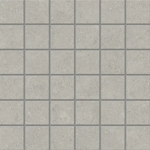 Мозаика Newport NP01 (5х5) 30x30 матовая