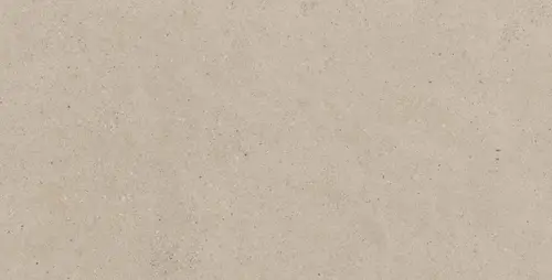 CE00 60х120х9 Структур.Рект.