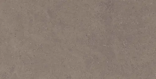 CE04 60х120х9 Структур.Рект.