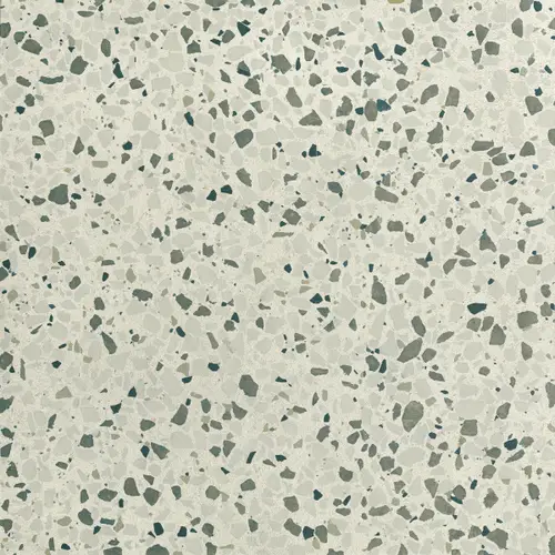 FRMN Glim Gemme Salvia R10 60x60 RT