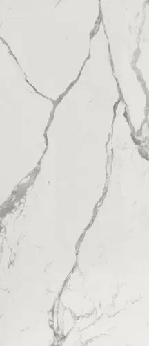 Настенная плитка Roma Gold Carrara Superiore Brillante 50x120 Ceramiche глянцевая