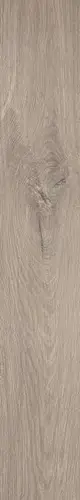 Roots Taupe Matt R9 20x120