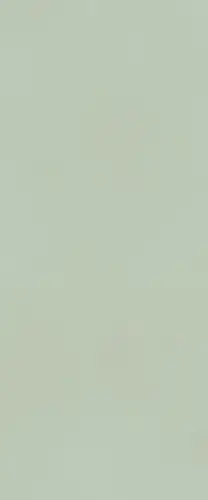 FTDV True Color Matcha 50x120 RT
