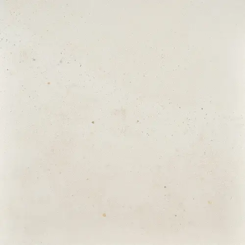 Fioranesе I Cocci Calce nat 60x60