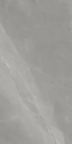Керамогранит Myas Grey 60х120 матовый универсальный
