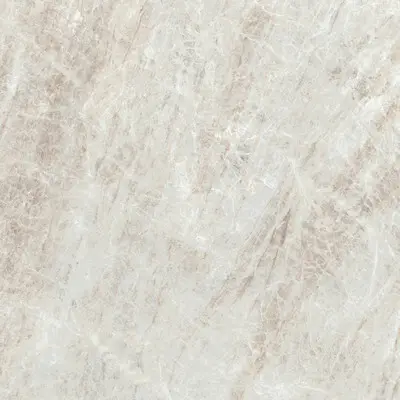 Керамогранит 784512 Iconic Life Rice Yamuna Matte 120х120