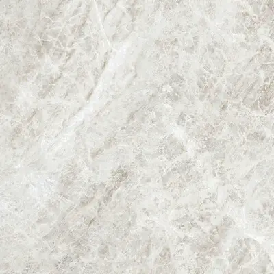 Керамогранит 784549 Iconic Life Rice Yamuna Glossy 60х60