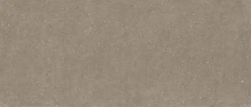 Florim Rinascenza Arena Pietra Antico 9 mm 60х60