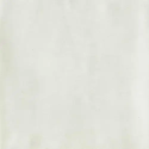 Florim Sensi Colore Bianco Glossy 8.5 mm 5.7х23.2