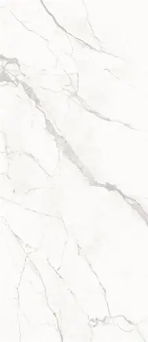 Slab Calacatta Honed 120x278