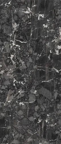 Slab Nero Breccia Honed 120x278