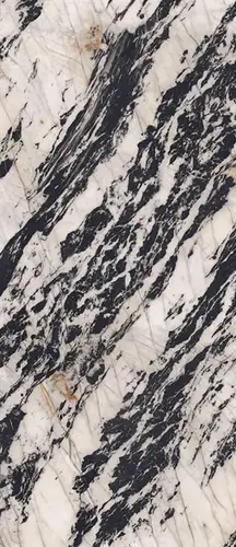 Slab Nero Cosmos B Honed 120x278