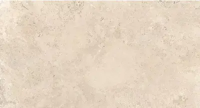 Керамогранит Ebur Vein, 60х120