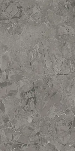 Керамогранит Criostone Elephant 60x120 Mat