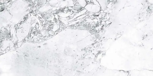 Керамогранит Forest White Semi Polished 59.7х119.8 полированный универсальный