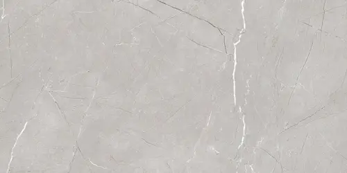 Larice Grey 60x120