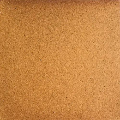 Gres de Aragon Natural 25x25