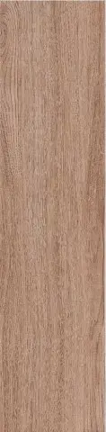 Gres de Aragon Ordesa Marron 15x60
