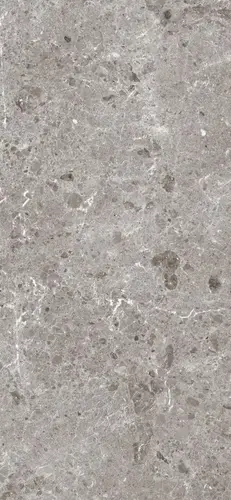 Керамогранит Artic Gris Pul.120x260 5,6 Ceramica S.A. полированный