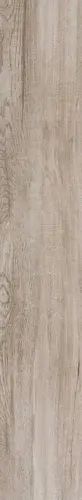 Sajonia Arce 19,5х120