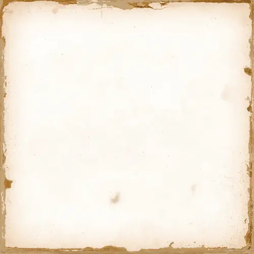Harmony Casablanca White 12,5x12,5