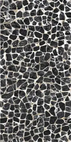 Turtle6 12 LP 60x120