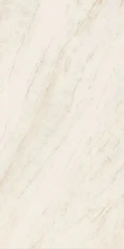Oyster White Ret 60х120