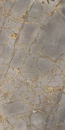 Reflection Gold 60X120