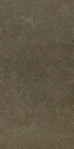 610010000707 Аурис Мока 30х60 Рет Рект. Натуральный