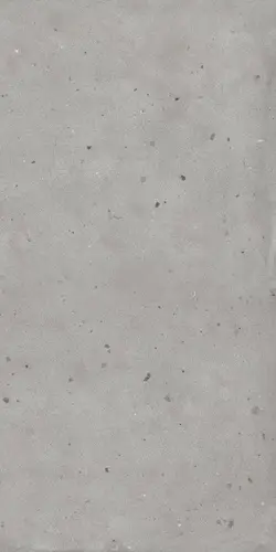 Керамогранит Avantgarde Silver Matt Rect 60х120 матовый 610010005694