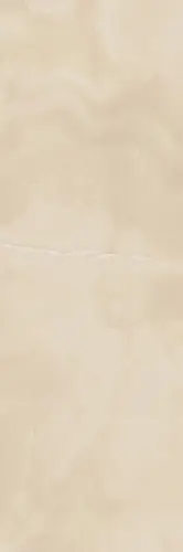 600010000893 Шарм Эво Оникс Глянцевый 25х75