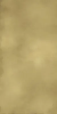 610015000645 Континуум Бр.голд 80х160 Шл Рект. Шлифованный