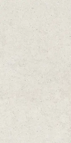 Керамогранит 610010004166 Forum Stone Polar Ret 60х120