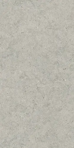 Керамогранит 610010004168 Forum Stone Silver Ret 60х120