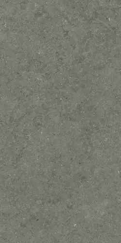 Керамогранит 610010004169 Forum Stone Iron Ret 60х120