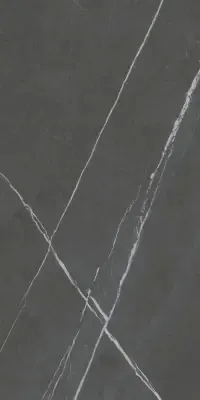 610010002631 Метрополис Империал Блэк 60х120 Рект. Натуральный