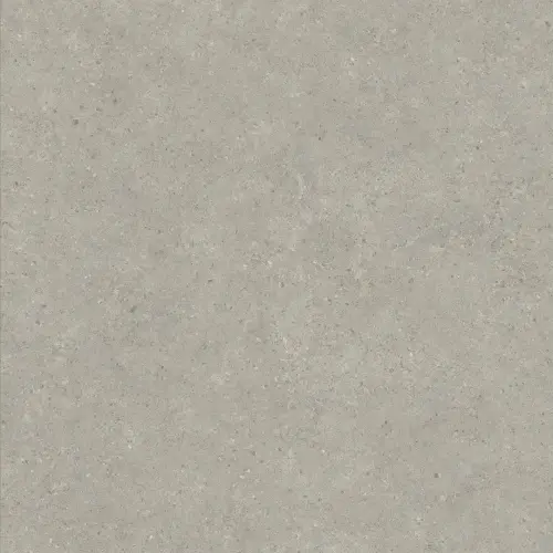 Керамогранит 610010006216 Статус Карбон Натуральный 120x120