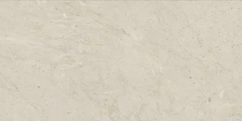 Керамогранит 610010006208 Статус Артик Натуральный 60x120