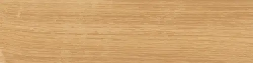 Аргания бежевый матовый 9,9x40,2x0,8