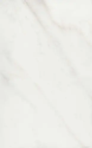 Kerama Marazzi Гран Пале белый 6343 25х40х8