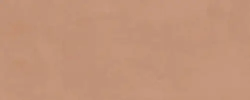 Плитка настенная Kerama Marazzi Каннареджо Оранжевая Матовая 20x50x0.8