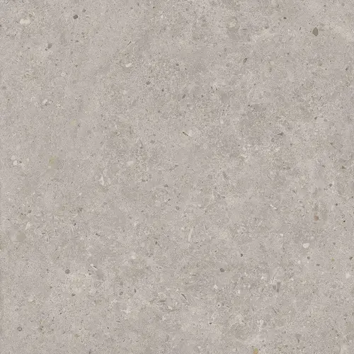 Kerama Marazzi Риккарди Керамогранит серый светлый матовый обрезной SG653720R 60x60