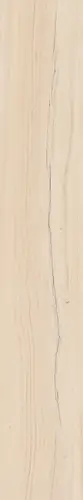 Alleya Beige MR 20x120