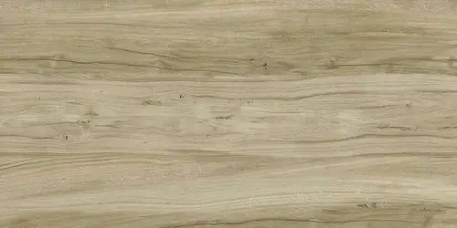 Керамогранит Alleya Серо-коричневый Структурированный 120x60